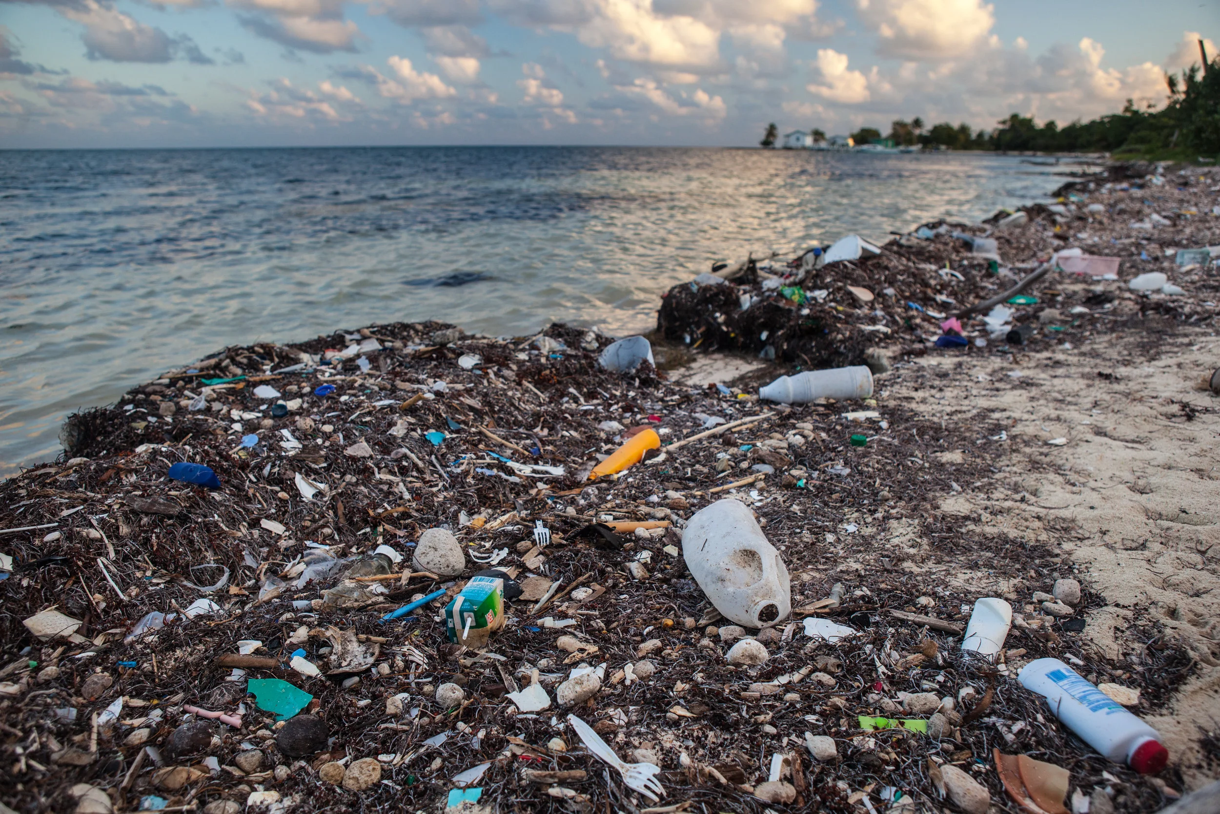 plastic in ocean: A vast expanse of the ocean polluted with plastic debris, highlighting the global issue of plastic pollution.