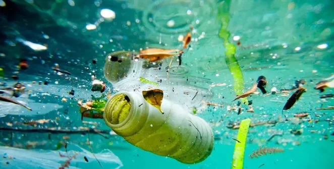 The detrimental impact of plastic in the ocean, illustrating the urgent need for environmental conservation and cleanup efforts.