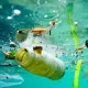 The detrimental impact of plastic in the ocean, illustrating the urgent need for environmental conservation and cleanup efforts.