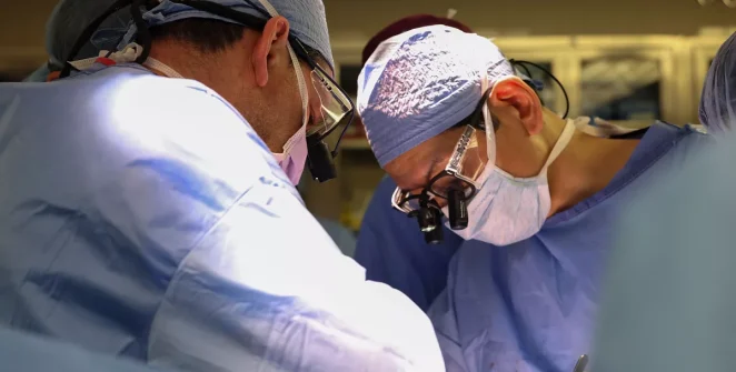 Pig Kidney Transplants