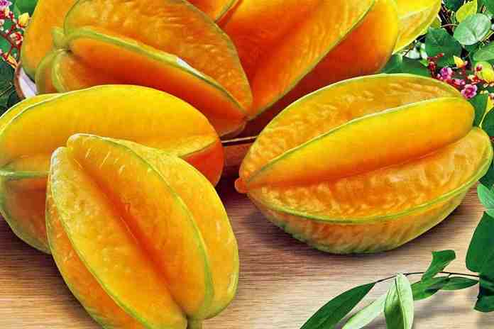 belimbing-si-buah-ajaib-yang-menyembuhkan-beragam