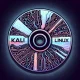 Kali Linux 2024.1: Review dan Panduan Fitur Terbaru untuk Profesional Keamanan