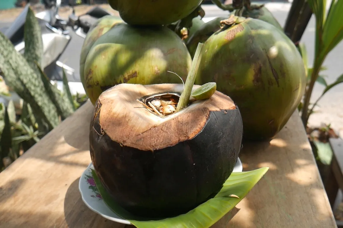 Kelapa bakar dengan kulitnya yang terbuka