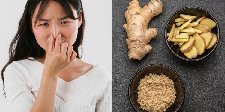 bau-badan-inovasi-jamu-alami-untuk-menghilangkan 