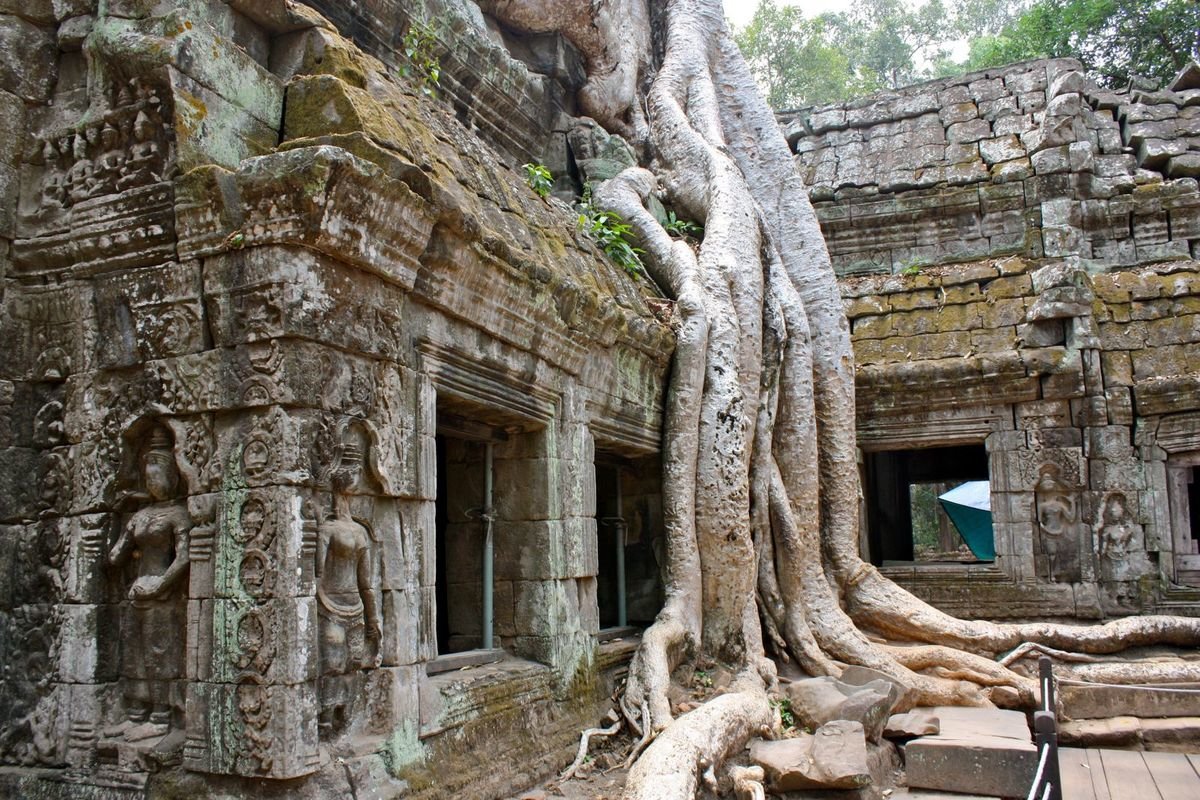 ekat dari ukiran batu halus pada dinding Angkor Wat