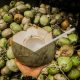 kelapa bakar