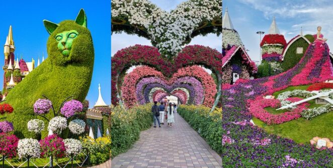 Dubai Miracle Garden