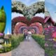 Dubai Miracle Garden