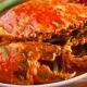 Kepiting Saos