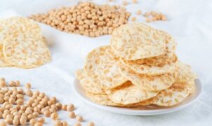 kripik-tempe-menikmati-kelezatan-camilantradisional