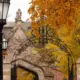 Revolutionary Research from UChicago
