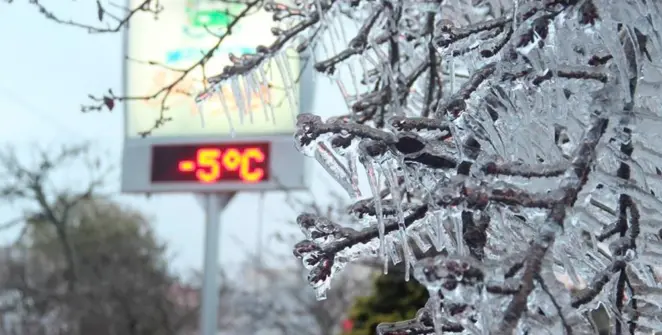 São Joaquim Experiencing Snow and Wine in Brazil’s Chilly Paradise