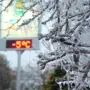São Joaquim Experiencing Snow and Wine in Brazil’s Chilly Paradise