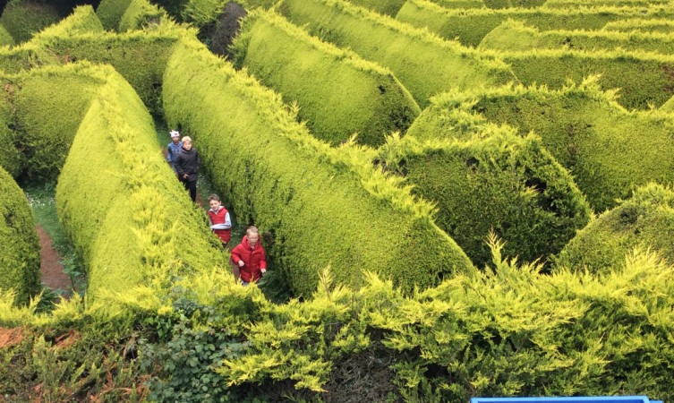 Sejarah dan Pembangunan The Kildare Maze