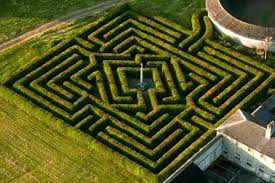 The Kildare Maze