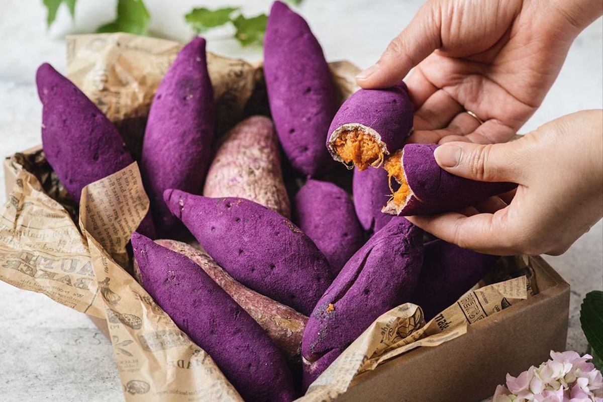 roti-ubi-korea-sensasi-lezat-yang-menggugah-selera 