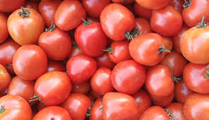 Tomat Merah Segar