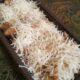 Resep Pisang Kembung
