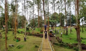 Bukit Gundaling