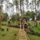 Bukit Gundaling
