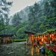 The Lodge Maribaya