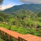 Wisata Puncak