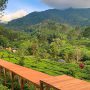 Wisata Puncak