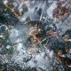 Frostpunk 2