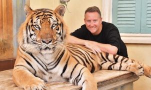 Tiger Kingdom Phuket