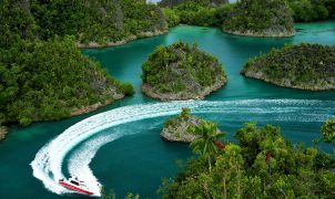 Hutan Nasional Ocala
