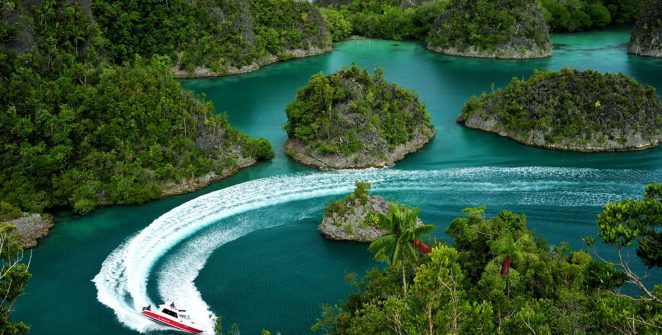 Hutan Nasional Ocala