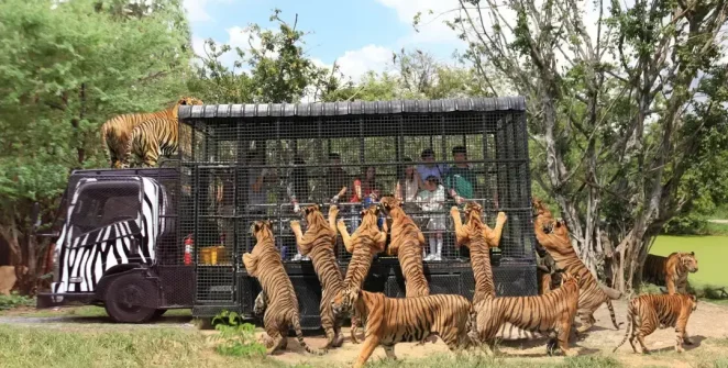 Safari World Bangkok