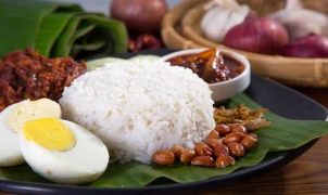 Nasi Bogana