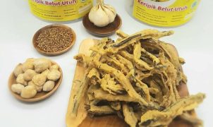 Keripik Belut